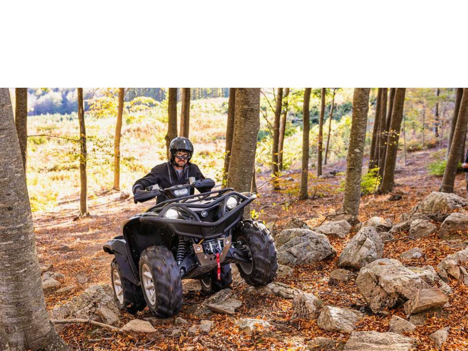 Мотовездеход ATV YAMAHA Grizzly 700 EPS SE 25 TH Anniversary (Low Gloss Black) 2024